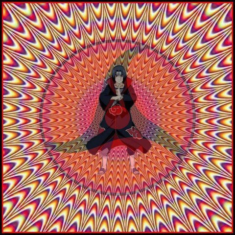 248500_433800456655278_223319809_n