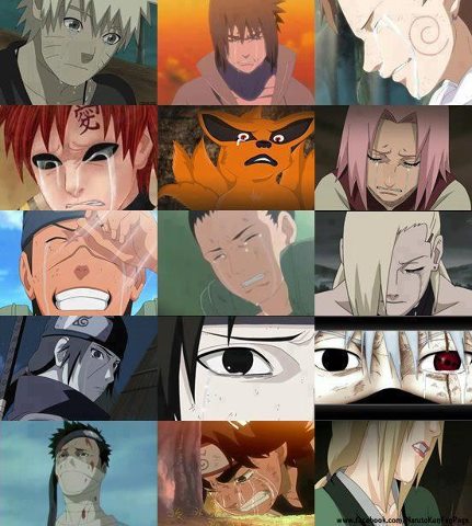 399663_435506463158663_1721050554_n