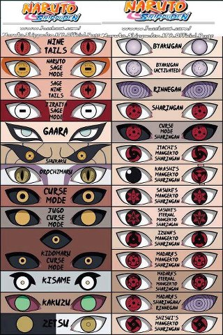 427332_339406332812555_2074264114_n