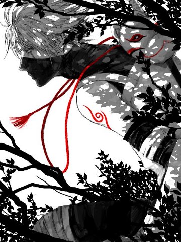 549040_371488102938543_1759325522_n